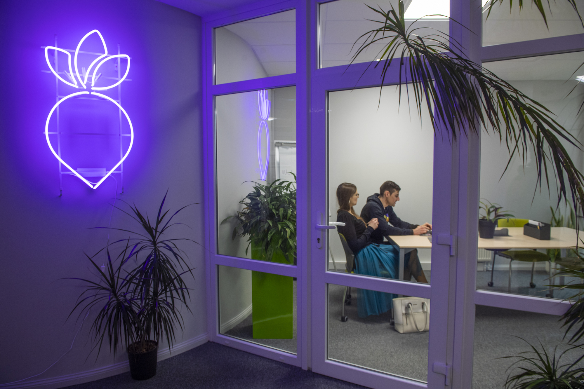 Meeting room and neon carrot