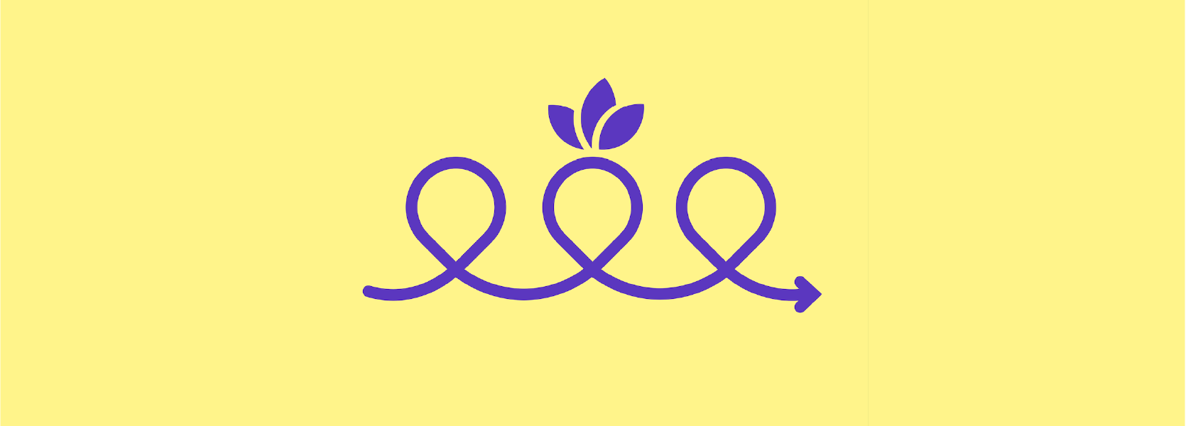 Agile iteration process with carrot shaped loops