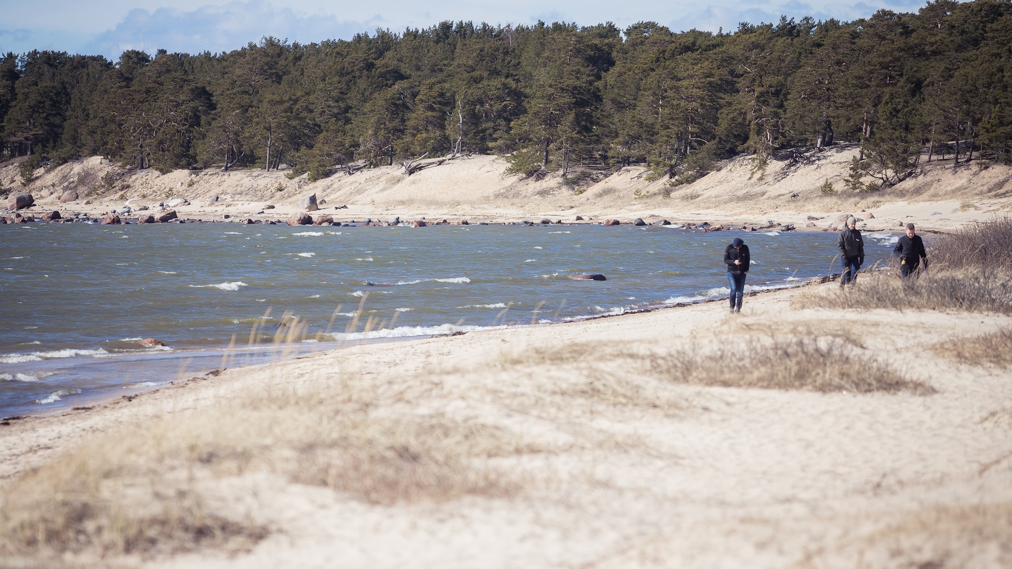 Baltic seaside view near Laulasmaa in Estonia